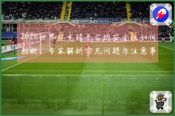 2026世界杯竞猜平台的安全性如何判断，专家解析常见问题与注意事项