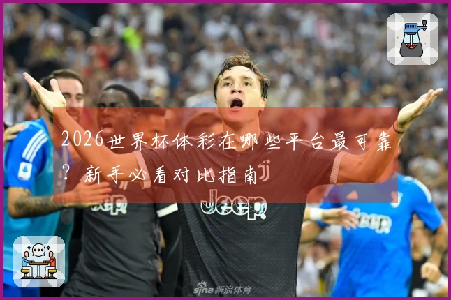 2026世界杯体彩在哪些平台最可靠？新手必看对比指南
