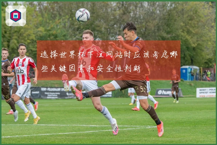 选择世界杯下注网站时应该考虑哪些关键因素和安全性判断