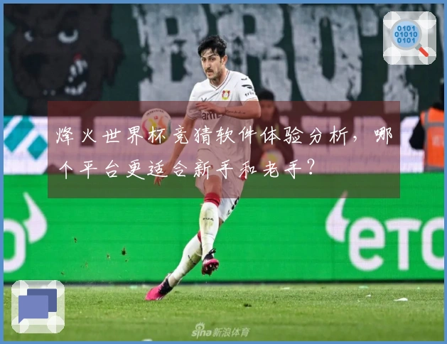 烽火世界杯竞猜软件体验分析，哪个平台更适合新手和老手？