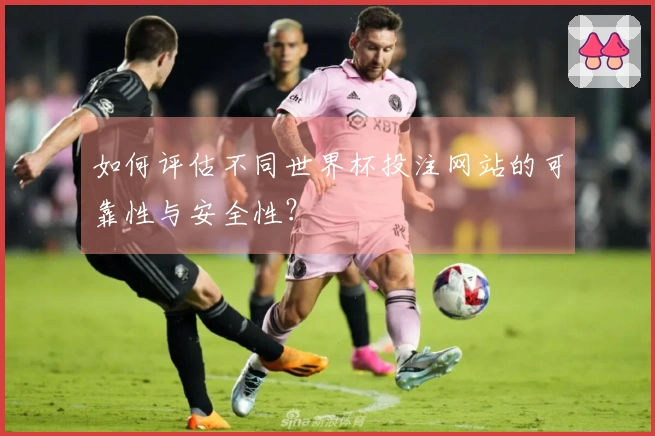 如何评估不同世界杯投注网站的可靠性与安全性？