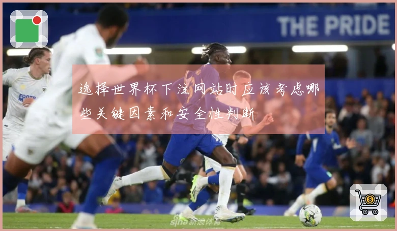 选择世界杯下注网站时应该考虑哪些关键因素和安全性判断