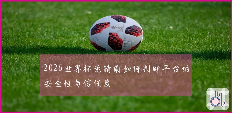 2026世界杯竞猜前如何判断平台的安全性与信任度